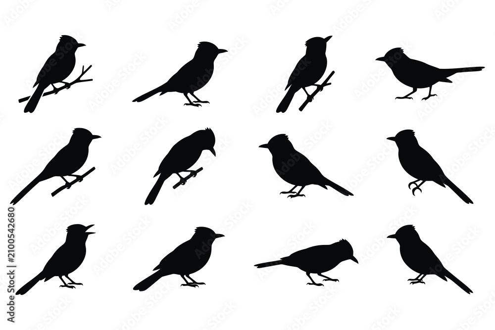 Fototapeta premium Black silhouette birds perched on branches transparent background collection