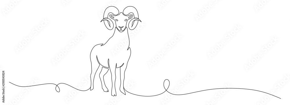 Obraz premium Continuous single-line drawing of a male goat standing at a forward-facing angle.