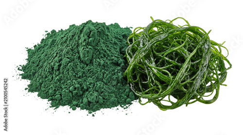 Quadro su tela Heap of spirulina powder next to fresh seaweed showcasing vibrant green health supplements