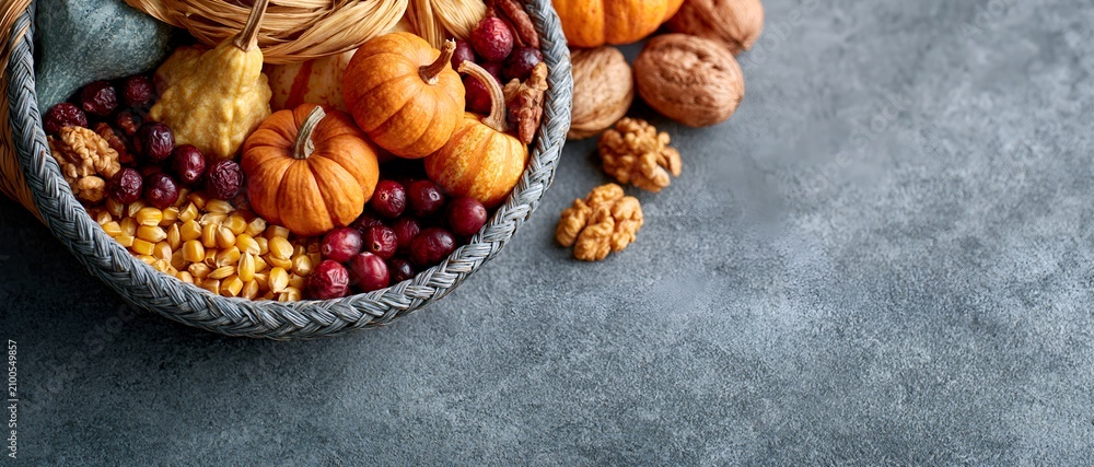 Fototapeta premium Fall harvest arrangement with pumpkins