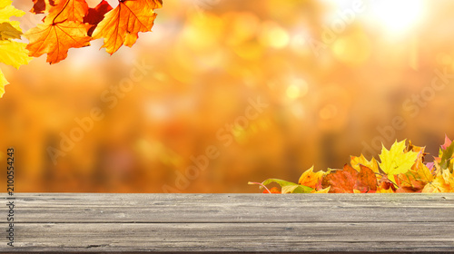 colorful fall leaves on wooden floor, blurred autumn natural background of forest with maple trees