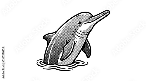 Bild auf Leinwand Dolphin jumping out of water surface.