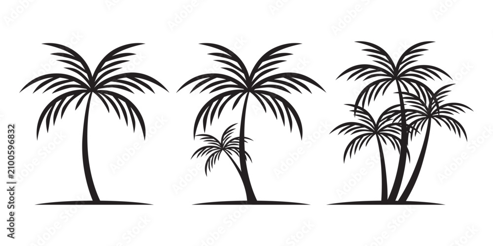 Fototapeta premium Palm Trees Vector Art Illustration Set for Tropical Designs