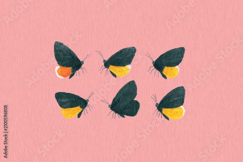 A group of six black and yellow moths on a pink background. the moths are painted in a variety of colors including black yellow and orange.