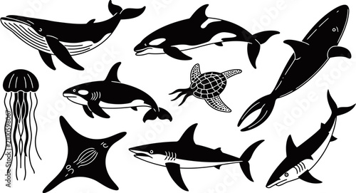 Εκτύπωση καμβά Black and white sea animals illustrations of whales orcas sharks and turtle swim