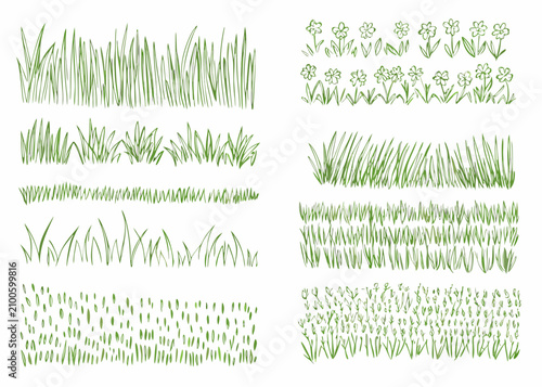 Canvas Print Various Grass Clusters And Floral Elements Hand drawn Vector Illustration