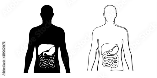 Human Respiratory and Digestive System Anatomy Vector Illustration Silhouette Set. Human Intestine Digestive System Organ Line and Solid Icon Set Vector. A black silhouette of the human digestive 