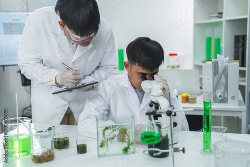 Scientist laboratory microscope research chemistry student experiment green liquid plant, focused Asian male team examines sample with glassware in clean classroom lab
