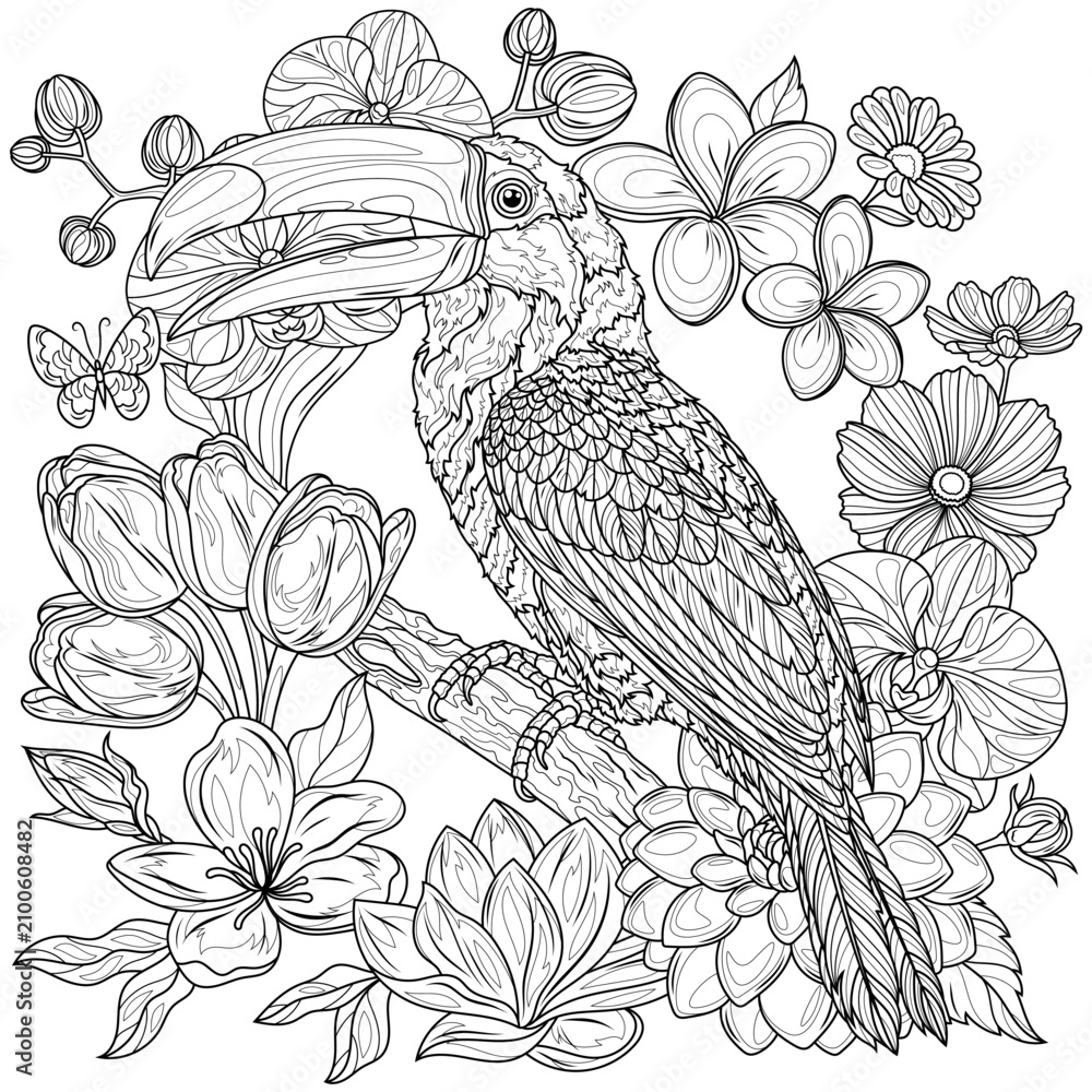 Obraz premium Toucan and flowers.Coloring book antistress for children and adults.