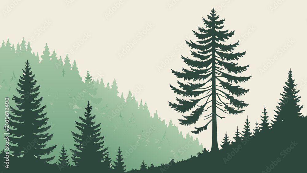 Obraz premium christmas trees background