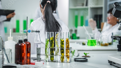 Laboratory scientist test tube plant research experiment glassware microscope show botanical analysis with green sample calm teamwork sterile bench liquid culture