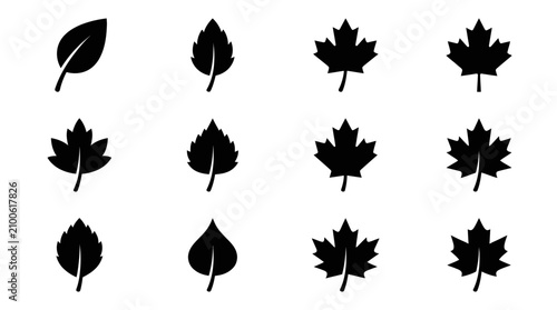 Collection of diverse black silhouette leaf icons representing various tree species.