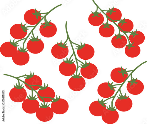 Fresh cherry tomato vector collection featuring clustered stems, ripe red fruits and natural botanical elements for food illustrations