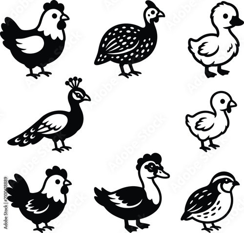 Obraz na plátně A array of cute black and white stylized illustrations featuring various types of domestic birds and poultry animals