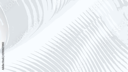 Fotografie Curved lines pattern with a subtle white on white coloration creates a minimalis