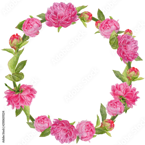 Hand Drawn Pink Peony Round Botanical Wreath – Colored Pencil Floral Illustration