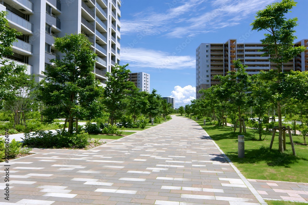 Obraz premium 高層マンションが建ち並ぶ夏の青空と緑豊かな遊歩道