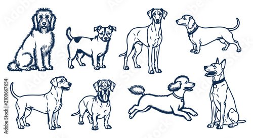 Принти на полотні Set of cute diverse dog breed illustrations in hand drawn sketch style with illu
