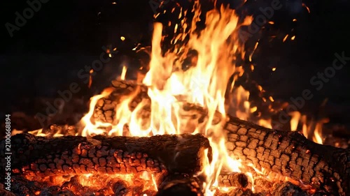 Vivid Campfire Flames with Burning Logs and Sparks.
