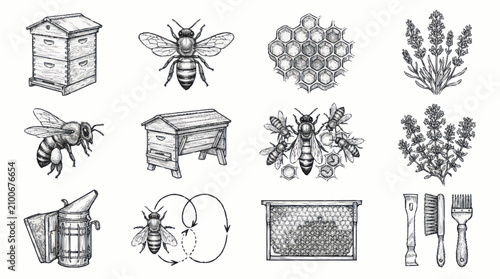 Bild auf Leinwand Beekeeping and honey production illustrated icons set.