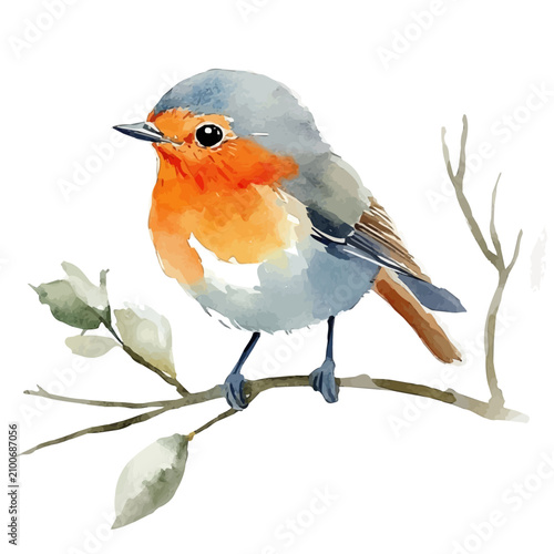 Obraz na płótnie Spring Wildlife, clipart watercolor vector, isolated on a white background