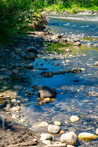 Washington River In Summer 3