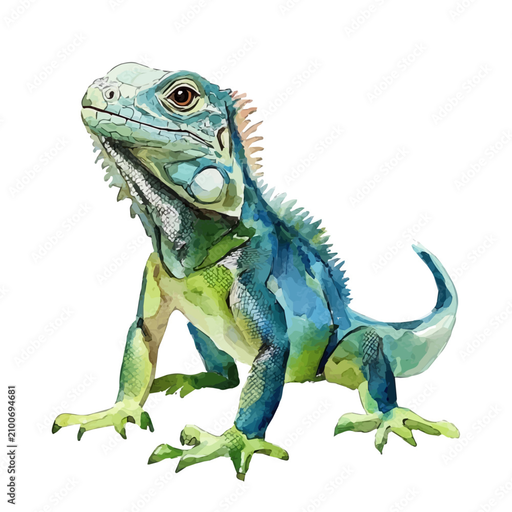 Fototapeta premium Iguana, clipart watercolor vector with gentle, isolated on a white background.