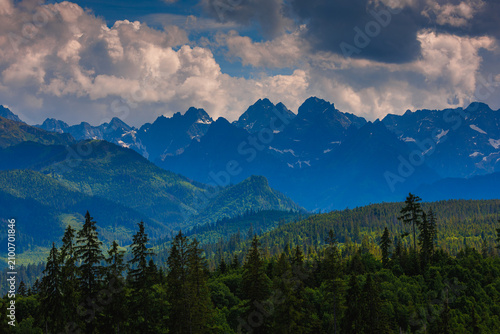 Sunlit green mountain valley with meadow, forested slopes in Zakopane Tatras mountains