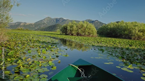Boat trip through the lush wetlands of Skadar Lake in Montenegro with water lilies, calm reflective waters and mountain scenery.