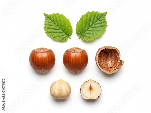 Healthy organic hazelnuts shown whole, shelled, and halved with vibrant green leaves, depicting a wholesome food concept on white.