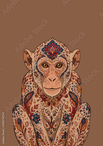 Foto macaco