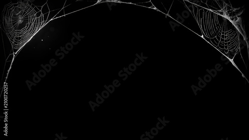 Spooky Halloween Spider Web Border on Black Background with Copy Space
