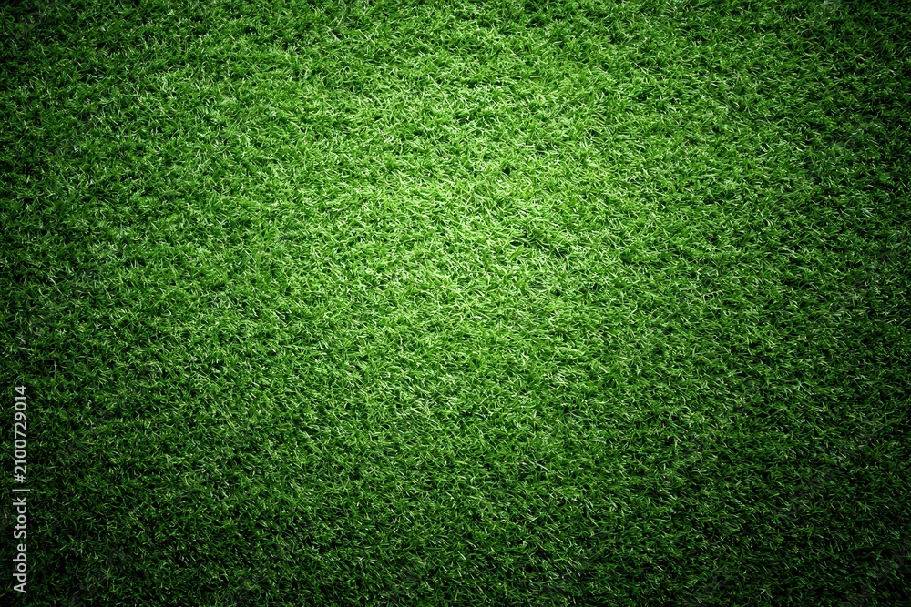 Obraz premium A lush, vibrant green grass lawn texture fills the frame in soft natural daylight. Perfect for sports fields and.