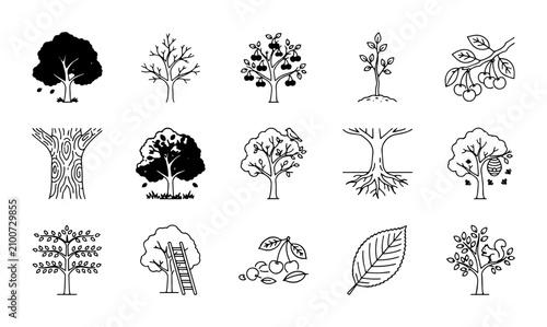 15 Tree linear icon set fruit trees, orchard, nature, UI and web interface design