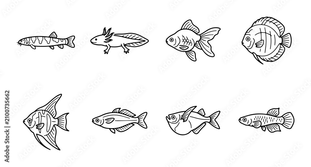 Obraz premium Hand-Drawn Aquatic Life Collection: Diverse Fish and Amphibian Vector Icons for Aquarium and Nature Designs