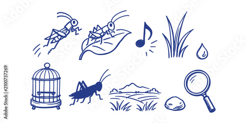 grasshopper cricket meadow insect element collection hand drawn doodle icon set vector illustration