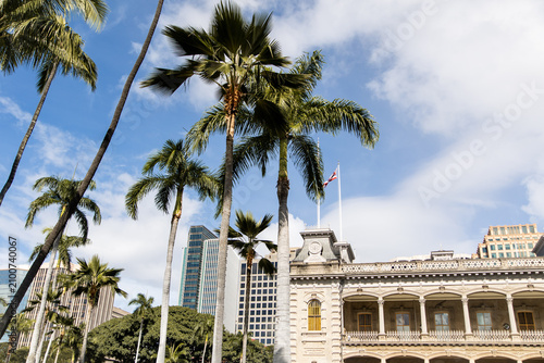 Palm trees framing Iolani Palace and the Hawaii State Capitol grounds, Honolulu
