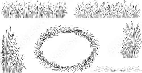 Obraz na płótnie Vintage Hand-Drawn Reed Grass and Bulrush Meadow Frames Collection
