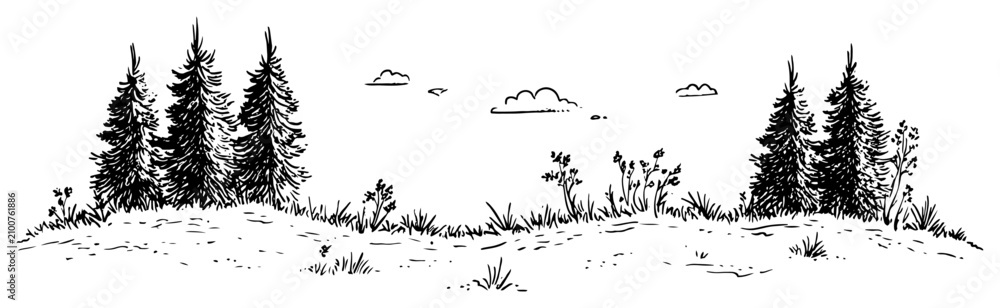 Obraz premium Pine trees on a meadow hill with clouds in hand drawn sketch style