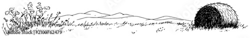 Photos Rural landscape with hay bale and wildflowers on a field in hand drawn sketch st