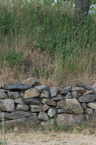 stone wall in the forest