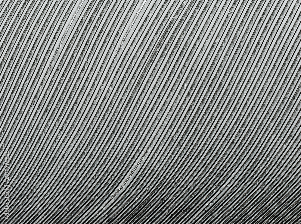 Fototapeta premium Macro of dove feather 