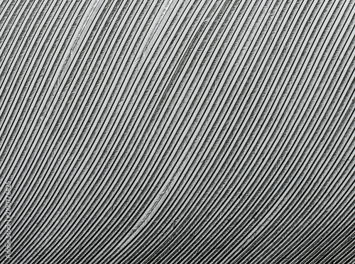 Macro of dove feather	