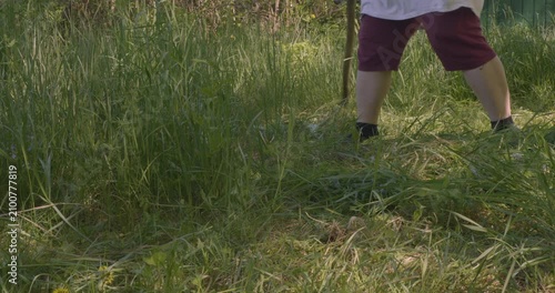 Farmer mowing overgrown green grass in a rural backyard with a traditional hand scythe during a sunny summer day, showcasing an old-fashioned method of lawn and garden maintenance.