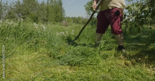 Rural farmer scything overgrown green grass with dandelion fluff on a sunny summer day in a field, demonstrating a traditional method of manual harvesting and land maintenance in the countryside.