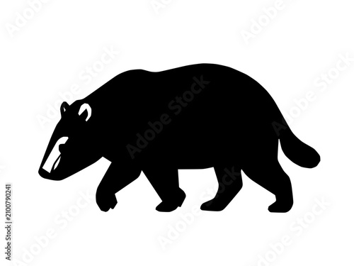Tableau sur toile A badger trotting forward with nose down and tail held low in a purposeful and steady walking motion across a flat plane