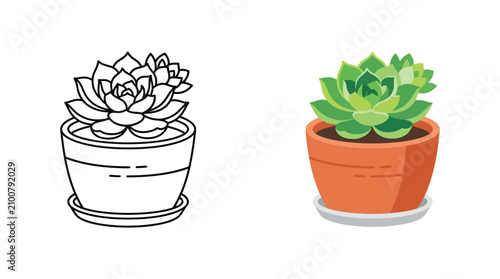 Bild auf Leinwand Succulent Plant In Terracotta Pot Color And Silhouette Versions