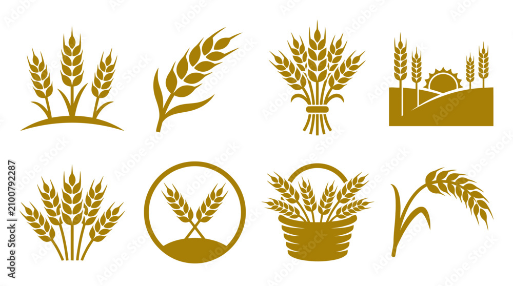 Obraz premium Wheat grain and cereal harvesting gold icon set.
