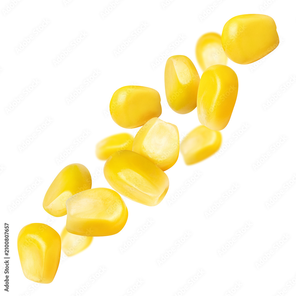 Obraz premium Fresh sweet corn kernels flying in dynamic composition, isolated on transparent cutout background