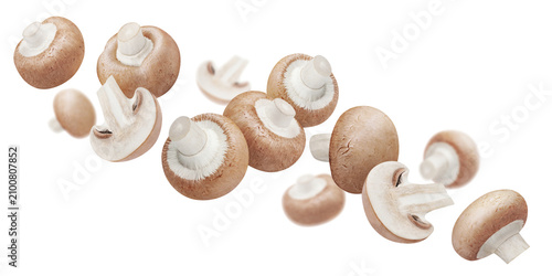 Bild auf Leinwand Whole and halved mushrooms floating in air, isolated on transparent cutout backg